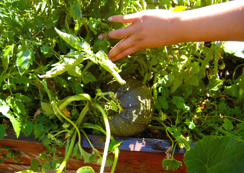 Gardening Photo